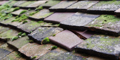 Pensarn roof repair costs